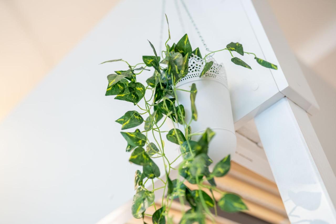 Cozy Modern Nest In The Heart Of Vienna With Netflix公寓 外观 照片